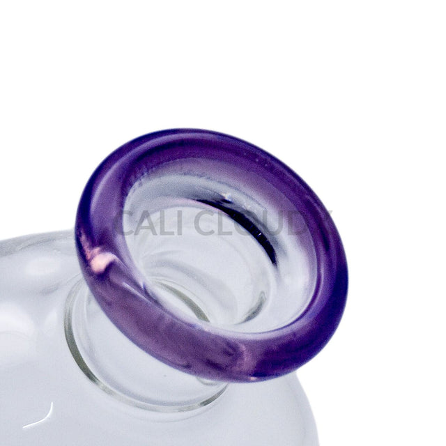 6 Rig Dome Waterpipe With Banger Mini