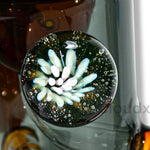 11 Sea Theme Recycle Water Pipe By Cali Cloudx Glass Waterpipe