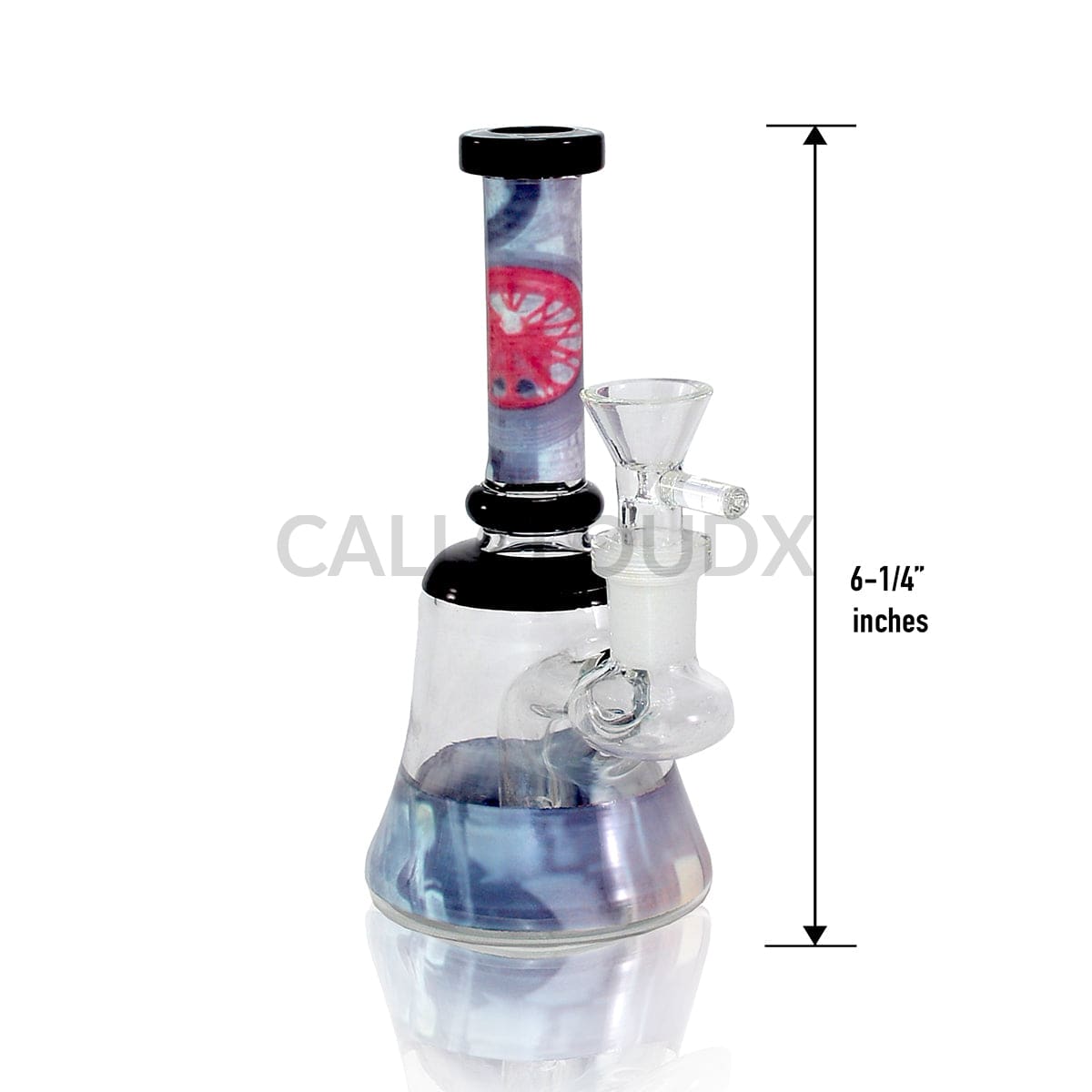 6’ Mini Water Pipe | Rig